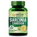 Vlado's Himalayan Organics Garcinia Cambogia Tea Extract 1500Mg Supplement | Boosts Metabolism & Energy Levels - Small Pack