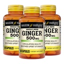 MASON NATUURLIJKE HERB Ginger 500 mg, 6 maanden voorraad, natuurlijk kruidensupplement, 60 capsules (3 verpakkingen)