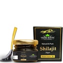 Pure Himalaya Shilajit Resin 
