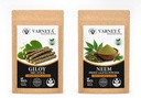 Premium Ayurvedic Herbal Combo | Giloy Sticks & Neem Leaves | Raw Natural Herbs for Tea & Decoction