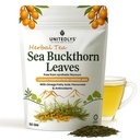Unitedlys Himalayan Sea Buckthorn Leaves 50g | Supports Skin & Immunity | Caffeine-Free, Sun-Dried Sea buckthorn for Wellness & Healthy Lifestyle