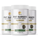 PRIMEVITA Fat Burner Powder | Thermogenic | Supports Weight Management & Boosts Metabolism 160g (PACK-3)