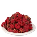 Backtobasics Gule Anar - Anar Ka Phool - Punica Granatum - Pomegranate Flower (50)