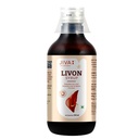 Jiva Livon Syrup For Liver Helps To Promote Digestion - 200ml(Pack of 1)