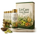 LivCare Liver Reset Shots | Herbal Daily Wellness Liquid | Botanical Wellness Shot | Easy-to-Drink Formula | Daily Lifestyle Support | Pack of 1