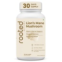 Rooted Active's Lion's Mane Mushroom for Brain Health Support - Mushroom Support for Focus & Memory Function - Immune & Nervous System Supplement | 60 Caps