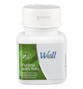 Well Pudina with Tulsi - 100N