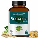 Herb Essential Boswellia Tablet, 500Mg, 60 Count, Bone and Joint Wellness