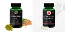 Fenugreek Oil L Carnitine Wellness Daily Vitality |60 CAPSULES