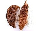 மதனகாமப்பூ / Madhanakama Poo / Queen Sago / Jangli Madanmust Ka Phul 50g by Amirtham Organic Foods