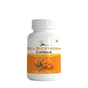 Sea Buckthorn Capsule | Pure 500Mg Herbal Extract Supplement Natural Immune Support and Skin Health Formula 60 Capsules | Color White | Size 60 Caspules Of 500Mg