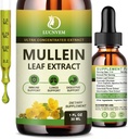 (2 Pack) 98% Absorptie Mullein Drops voor Longen, krachtige 5 in 1 Mullein blad Herbal Blend Extract, Natuurlijke Longen Ondersteuning Supplement voor Longen Reiniging & Detox en Respiratory Lung Health