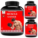 Muscle Gainer | Weight Gainer Supplements | Whey Protein | Flavor Vanilla | Pack of 3
