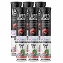 Liver Detox Effervescent – Plant-Based Detox with 9 Ayurvedic Herbs | Sugar-Free | Refreshing Watermelon Flavor | Drop, Fizz, Sip | Fizz 15 Tablets Pack of 6