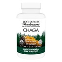 Host Defense Chaga Capsules - Immune System Support Supplement - Chaga Mushroom Capsules for Antioxidant Activity Support - Dietary Mushroom Supplement - 120 Capsules (60 Servings)