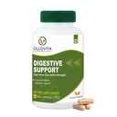 Plant-Based Digestive Support Capsules | 1000mg Advanced Gut Health Formula | Helps Reduce Bloating, Improves Digestion & Nutrient Absorption | Vegan, Non-GMO, Sugar-Free | 60 Veg Capsules