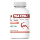 VALERIAN Root Capsules For Sleep, Stress and Anxiety Support | Improved Healthy Deep Sleep | 500mg TAGAR Extract (60 N)