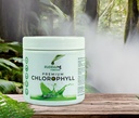 Rudraa Forever Chlorophyll Powder 100gm | Natural Green Detox Supplement Powder for Daily Wellness, Antioxidant Rich Plant Based Superfood Drink Mix for Energy, Digestion & Skin Support