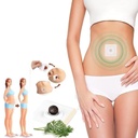 Herbal Slim Patch Weight Loss Belly Fat Burning Detox for Stomach Waist Slimming Body Care Patch 20 Pcs