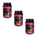 Zeelab Women Protein Powder 500g (Pack of 3) chocolate Flavour | Fortified with Calcium, Iron & Zinc | Protein Supplement for Women