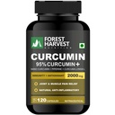 Curcumin 95% + Nano Curcumin with Piperine Capsules | 2000mg Per Serving | 120 Capsules | Triple-Strength for Superior Absorption, Joint Health & Immunity