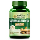 Vlado's Himalayan Organics Ashwagandha Gold - 1040 MG Supplement I With Pure shilajit, Safed Musli, Gokshura, Kaunch Beej, 24 Carat Swarna Bhasma, True Gold I 12+ Herbs I 100% Ayurvedic I max Potency, Power & strength I For Stamina, Muscle Growth & Energy I Helps in Stress & Sleep Management | Improves Gym Performance | For Men & Women- 60 Veg Capsules