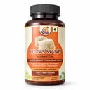 KHUMBEESS SUPERFOODS Lion's Mane Mushroom Extract, 650mg x 90 Capsules | Natural Brain Support & Focus, Memory Boost, Cognitive Health Supplement, Support Healthy Gut