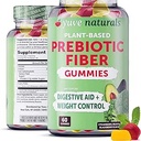Gommies de fibre de jouvence - Delicious - Supplément de fibre de 3g - Soutient la santé et la régularité digestives - Gommies de fibre de vegan et sans gluten pour les adultes et les femmes - Non-OGM et faible sucre - 60Ct (2 Pack)
