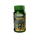 Herbal Canada Punarnava Extract Capsules | Ayurvedic Diuretic & Kidney Health Support | 60 Capsules