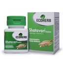 Shatavari Tablets 60 Count | Asparagus racemosus Root Extract | Ayurvedic Herbal Supplement for Women | Daily Wellness Support | Vegetarian Tablets | Women's Health Supplement
