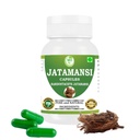 Jatamansi Capsules 500mg – 60 Count | Vegetarian | Plant-Based | Herbal Supplement | No Artificial Additives | Gluten-Free | Organic (pack of 1)