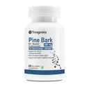 Trexgenics PINE BARK EXTRACT 95% Oligomeric Proanthocyanidins 240 mg Free Radical Scavenger, Antioxidant, Heart, Skin, Eye Health (60 Veg Capsules)