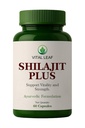 Shilajit Plus | Blend of Shilajit, Ashwagandha, Safed Musli & Gokshura | 60 Capsules | Ayurvedic Ingredients