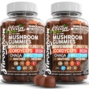 15in1 Paddestoel Gummies met Lion's Mane Turkije staart Cordyceps Reishi Chaga Sweet Toet Maitake Meshima Poria Cocos Shiitake Tremella, Oyster Agaricus Paddenstoelen voor mannen en vrouwen Supplement - 2Pack