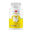 Idem pour les chiens - 120 comprimés à croquer - S-Adenosyl-L-Méthionine, supplément hépatique - Santé du cerveau, favorise le soutien cognitif, le soutien du foie (même comprimé)