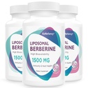 Berberine HCL Supplement 1500mg - Hoge biologische beschikbaarheid Liposomale Berberine Capsules voor vrouwen en mannen, AMPK Activator voor cardiovasculaire gezondheid, Sugar-Free, Non-GMO,180 Softgels