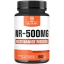 NAD+ Supplement met Nicotinamide Riboside 500mg - Cellular Energy & Repair, Healthy Aging, Wellness - 90 Capsules - 3 maand levering