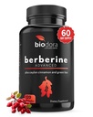 Berberine Advanced Plus avec 1200mg Berberine - 100mg Ceylan Cannelle et 100mg Extrait de Thé Vert - 1400mg Par Dose -120 Capsules - 60 jours d'approvisionnement - Supports immunitaires et cardiovasculaires