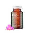 Native Formulas Restore 3 Proteolytische Enzyme & Spore Probiotic Blend Supplement - 60 Capsules - Advanced Biofilm Disruption Aid - Support GI Health, Fibromyalgie, Gut Flora, Muscle