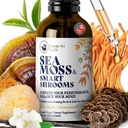 HAPPY FOX Irish Sea Moss Liquid Drops & Mushroom Tinctuur - Seamoss met 7 Adaptogene Mushroom Extracten voor Cognitive Ondersteuning & Gut Health, Mushroom Koffie Elixir, Pure Vanilla Flavor