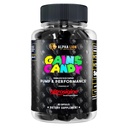 ALPHA LION gagne Candy, pilules supplémentaires pour la pompe musculaire et le flux sanguin, booster d'oxyde nitrique, soutient la concentration mentale, utiliser quotidiennement pour améliorer la performance d'entraînement, 63 capsules (Nitrosigine)