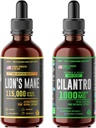 HERBIFY Bundle - Lions Mane Drops & Cilantro Tinctuur - Brain Boost & Body Detox