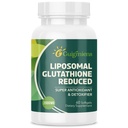 Glutathion liposomique 2000 MG, Absorption supérieure, supplément de glutathion avec acide hyaluronique + peptide de collagène + resvératrol, puissant antioxydant, vieillissement de la santé, 60 Compte