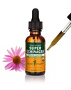 Herb Pharm Certified Organic Super Echinacea Liquid Extract for Active Immuun System Support - 1 Ounce (DSUPER01)