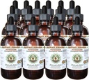 Hawaï Pharm Yohimbe Extract liquide sans alcool, Yohimbe liquide (Pausinystalia Yohimbe) glycérite séchée glycérite supplément à base de plantes naturelles, États-Unis 15x4 fl.oz
