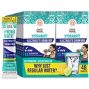GuruNanda Hydramate Hydrate Ondersteuning Drink Mix - Electrolyte Poeder Paketten voor Dehydratie, Oefening & Energie - Geen toegevoegde zoetstoffen, niet-GMO, natuurlijke citroen Lime smaak - 48 Tel (0,56 oz Elke)