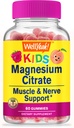 WellYeah Magnesium Citraat Gummies voor kinderen - Kauwbare Stress Relief Supplement voor kinderen - Natuurlijke Kalmte, Goede Ondersteuning, Non-GMO, Glutenvrij - Natuurlijke Smaken - 60 Gummies