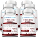 Goedgekeurde Wetenschap Tribulus Terrestris - 360 Capsules - Boost Testosteron, verbetert de atletische prestaties, ondersteunt spiergroei en reparatie - 95% Furostanol Saponins - Bioperine - Vegan - 6 flessen