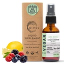 Biologische ZInc Boost Mist 40 mg (Extra sterkte) - Suikervrij met Vit C en Vlierbessenextract - Vegan Liquid Spray voor kinderen en volwassenen - Gemakkelijke Absorptie - Non-GMO - (60 ml) 60 dagen Levering