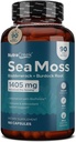 Sea Moss  Prebiotic & Immuun Support 90 Days Supply - 180 Capsules